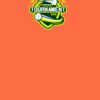 Barnstaple Orange Thumbnail